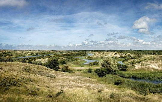 Wandelen in de waterleidingduinen